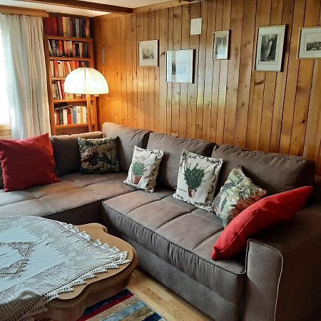 Chalet Am Fels Innertkirchen Exteriér fotografie