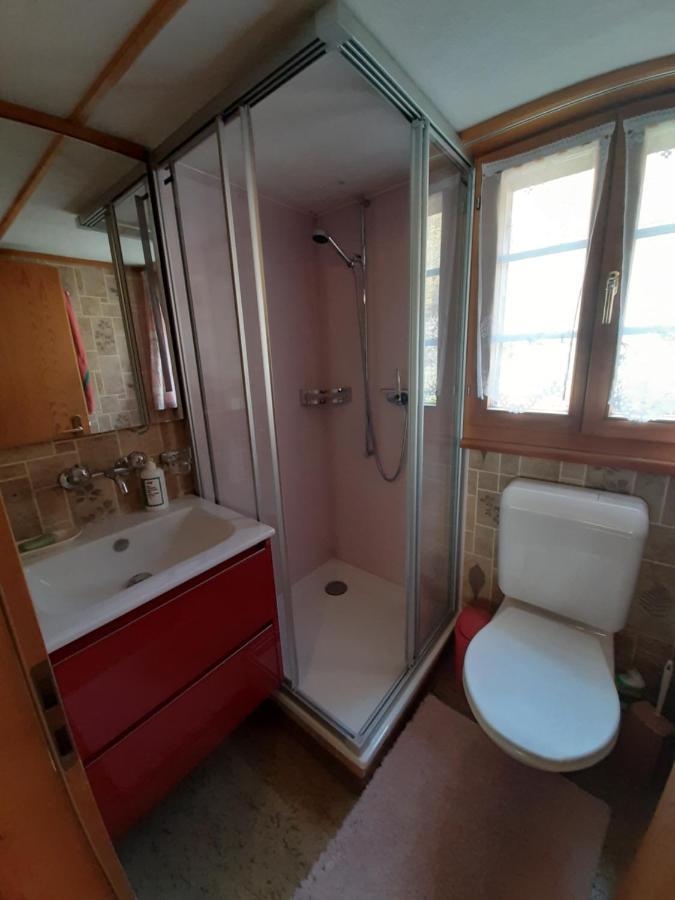 Chalet Am Fels Innertkirchen Exteriér fotografie